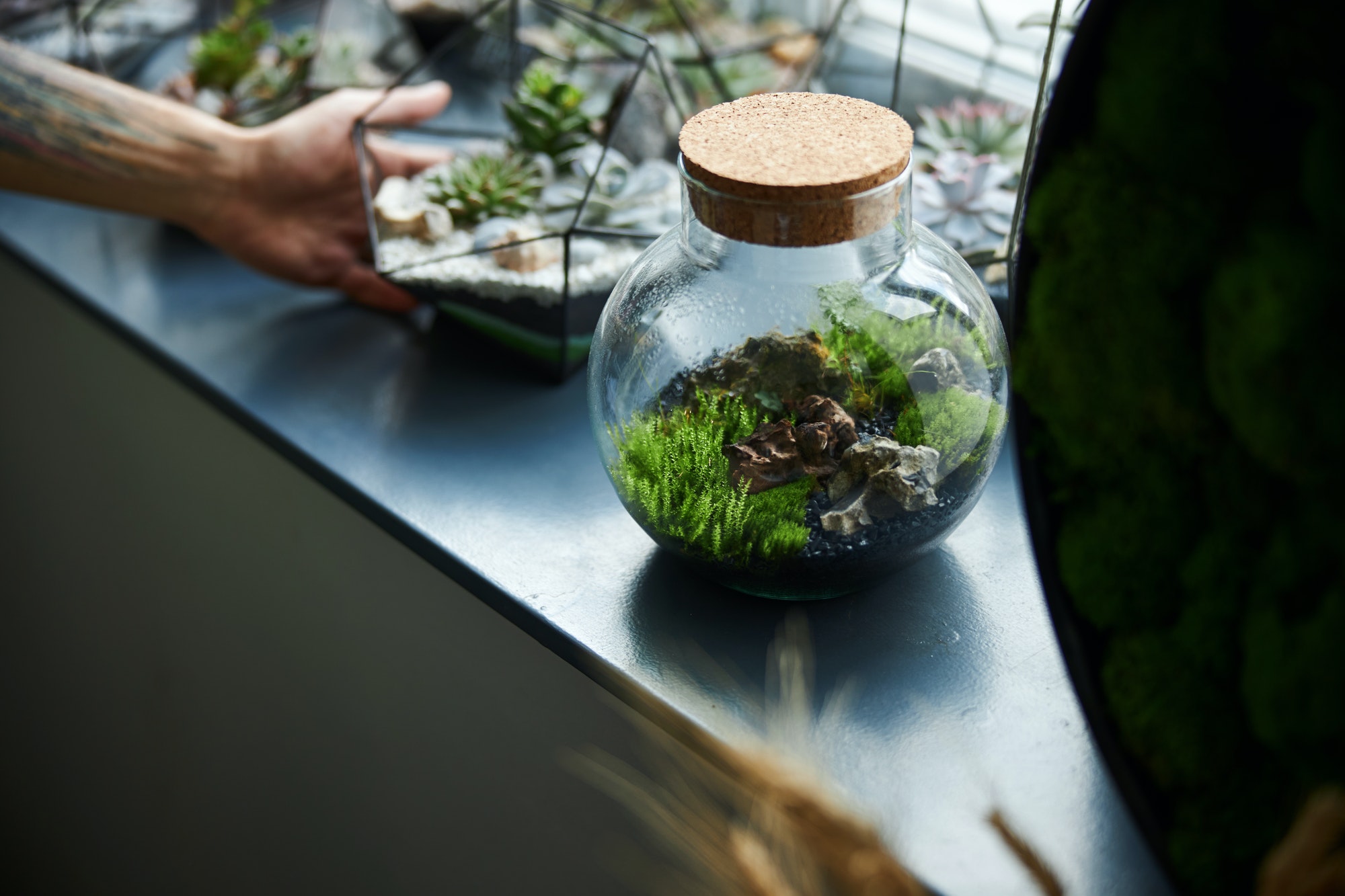 Male person standing by the table with glass terrariums