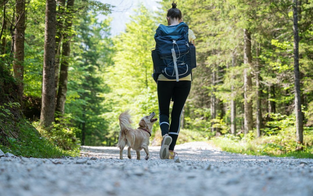 Unleashing Adventure: 7 Outdoor Activities to Enjoy with Your Canine Companion